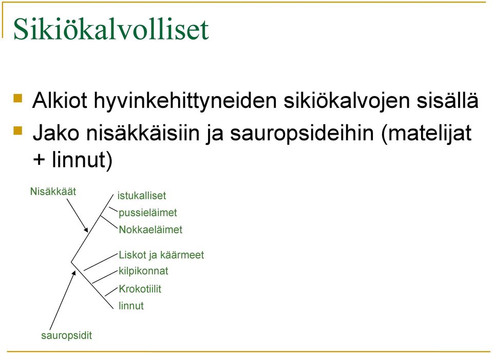 linnut) Nisäkkäät istukalliset pussieläimet Nokkaeläimet