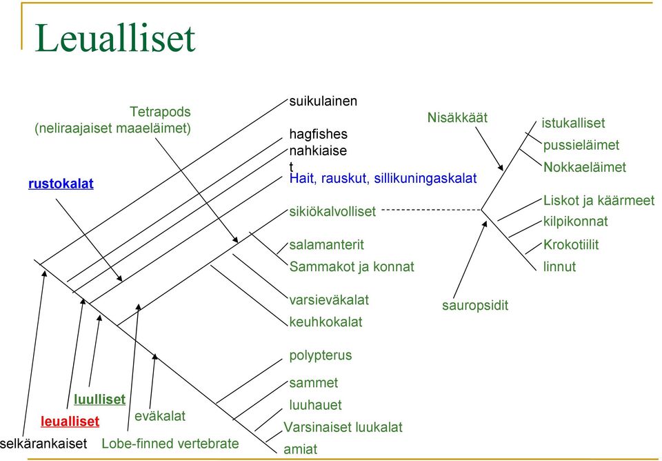 Nokkaeläimet Liskot ja käärmeet kilpikonnat Krokotiilit linnut varsieväkalat keuhkokalat sauropsidit