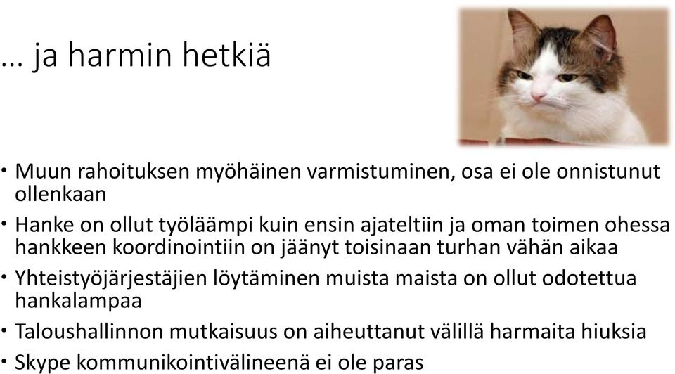toisinaan turhan vähän aikaa Yhteistyöjärjestäjien löytäminen muista maista on ollut odotettua