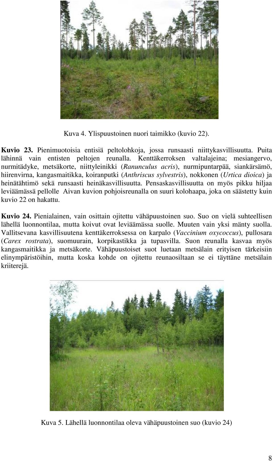 nokkonen (Urtica dioica) ja heinätähtimö sekä runsaasti heinäkasvillisuutta.