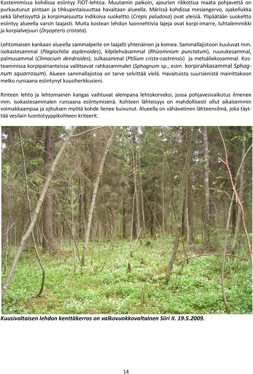 Muita kostean lehdon luonnehtivia lajeja ovat korpi imarre, luhtalemmikki ja korpialvejuuri (Dryopteris cristata). Lehtomaisen kankaan alueella sammalpeite on laajalti yhtenäinen ja komea.