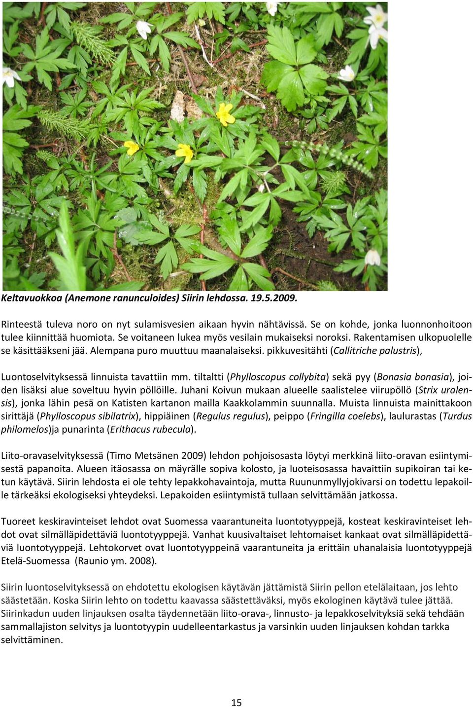 pikkuvesitähti (Callitriche palustris), Luontoselvityksessä linnuista tavattiin mm. tiltaltti (Phylloscopus collybita) sekä pyy (Bonasia bonasia), joiden lisäksi alue soveltuu hyvin pöllöille.