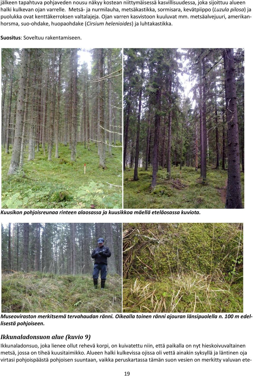 metsäalvejuuri, amerikanhorsma, suo ohdake, huopaohdake (Cirsium helenioides) ja luhtakastikka. Suositus: Soveltuu rakentamiseen.