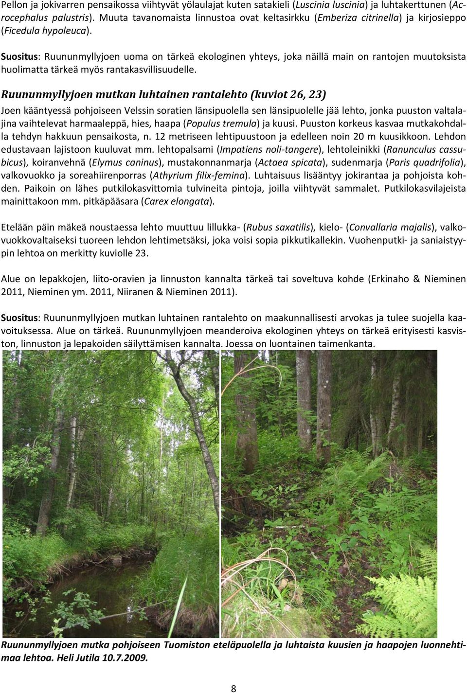 Suositus: Ruununmyllyjoen uoma on tärkeä ekologinen yhteys, joka näillä main on rantojen muutoksista huolimatta tärkeä myös rantakasvillisuudelle.