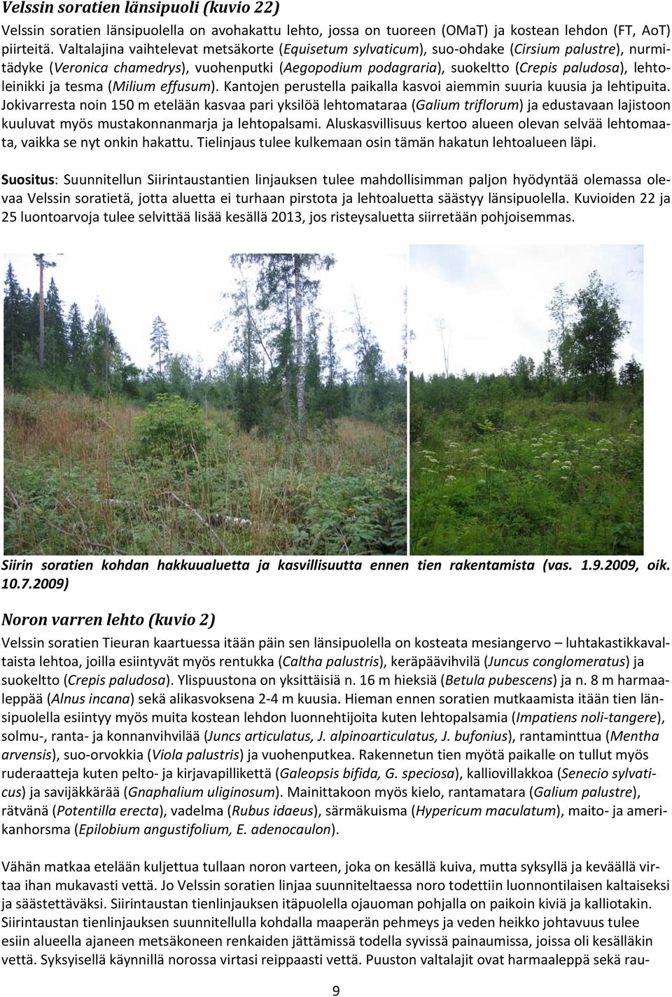 lehtoleinikki ja tesma (Milium effusum). Kantojen perustella paikalla kasvoi aiemmin suuria kuusia ja lehtipuita.