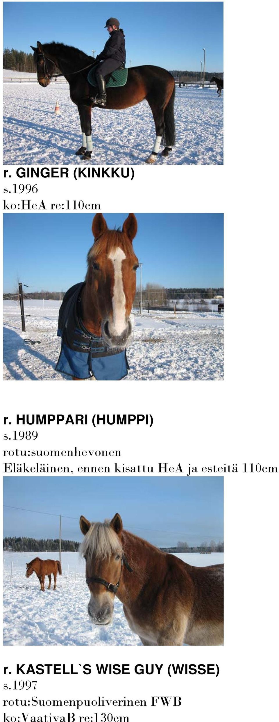 1989 rotu:suomenhevonen Eläkeläinen, ennen kisattu HeA