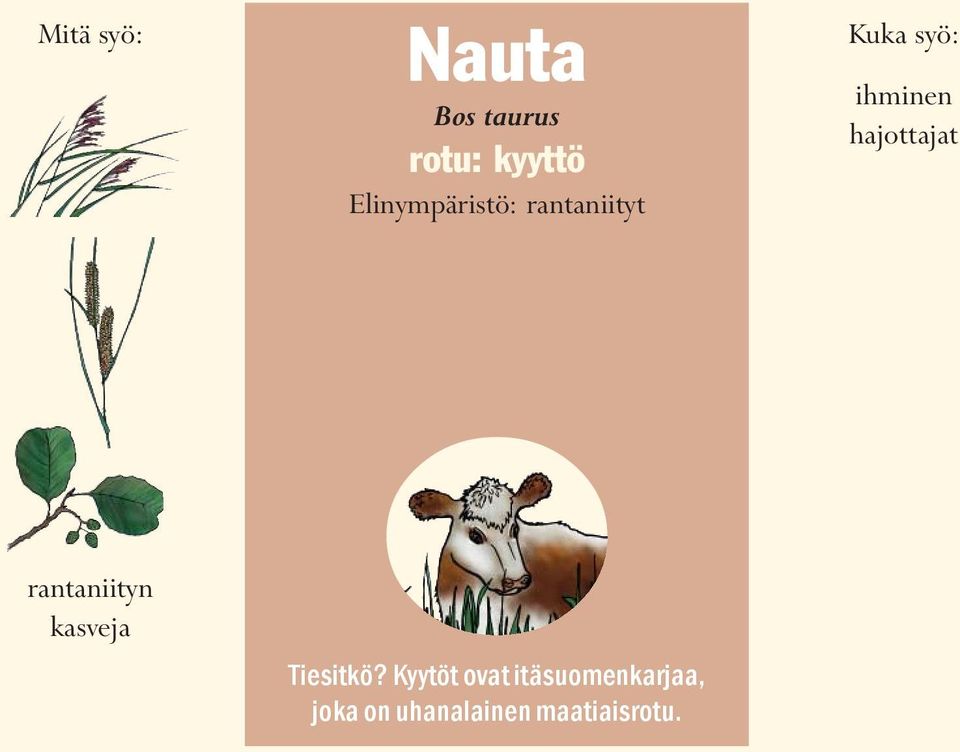 hajottajat rantaniityn kasveja Tiesitkö?