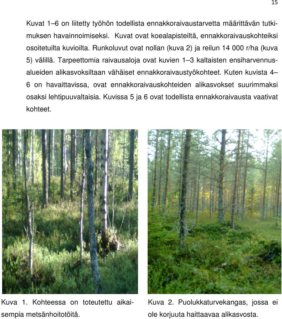 Tarpeettomia raivausaloja ovat kuvien 1 3 kaltaisten ensiharvennusalueiden alikasvoksiltaan vähäiset ennakkoraivaustyökohteet.