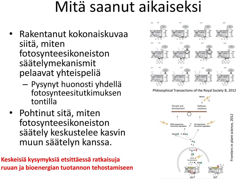 tontilla Pohtinut sitä, miten fotosynteesikoneiston säätely keskustelee kasvin muun säätelyn kanssa.