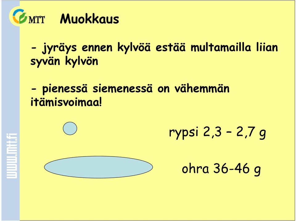 kylvön - pienessä siemenessä on