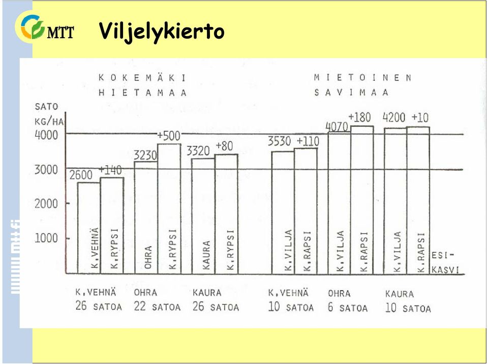 ohran ja kevätvehnän sato + 5-15 % >