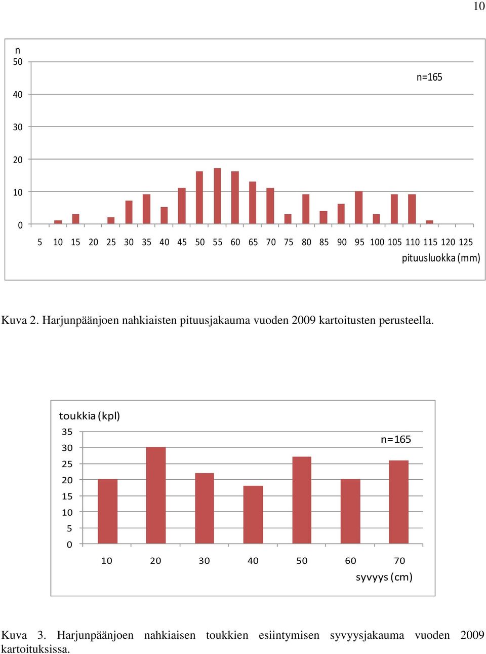 Harjunpäänjoen nahkiaisten pituusjakauma vuoden 2009 kartoitusten perusteella.