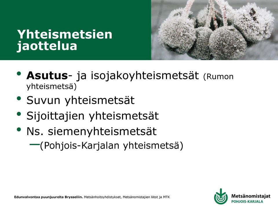 Suvun yhteismetsät Sijoittajien