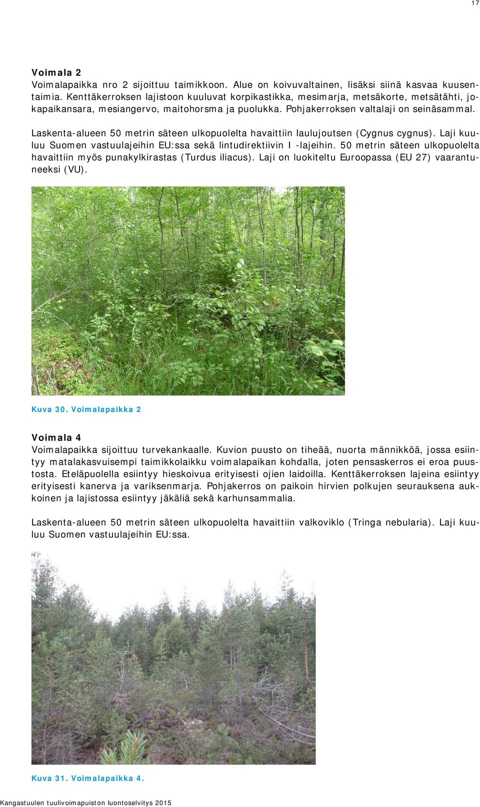 Laskenta-alueen 5 metrin säteen ulkopuolelta havaittiin laulujoutsen (Cygnus cygnus). Laji kuuluu Suomen vastuulajeihin EU:ssa sekä lintudirektiivin I -lajeihin.