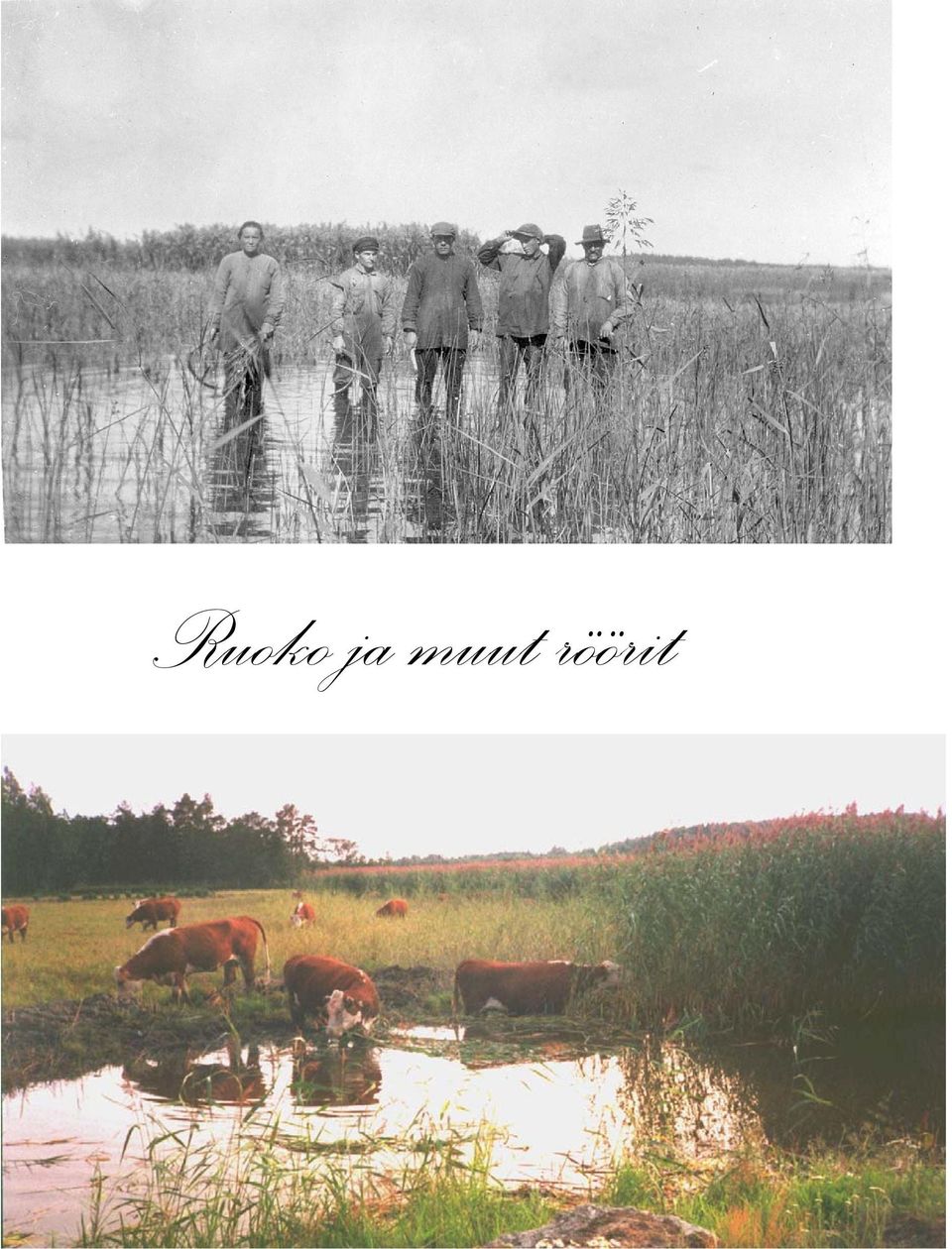 röörit