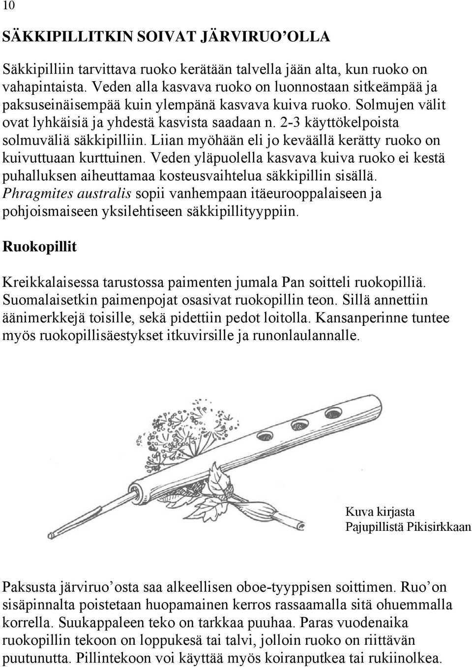 2-3 käyttökelpoista solmuväliä säkkipilliin. Liian myöhään eli jo keväällä kerätty ruoko on kuivuttuaan kurttuinen.
