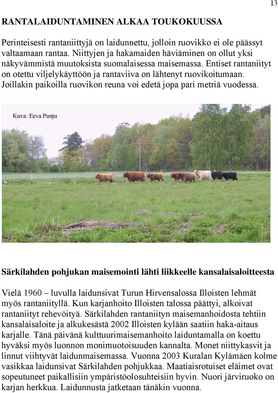 Joillakin paikoilla ruovikon reuna voi edetä jopa pari metriä vuodessa.