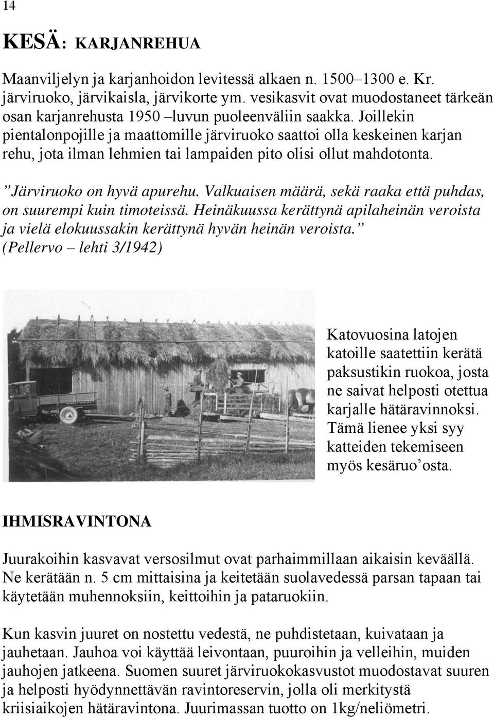 Joillekin pientalonpojille ja maattomille järviruoko saattoi olla keskeinen karjan rehu, jota ilman lehmien tai lampaiden pito olisi ollut mahdotonta. Järviruoko on hyvä apurehu.