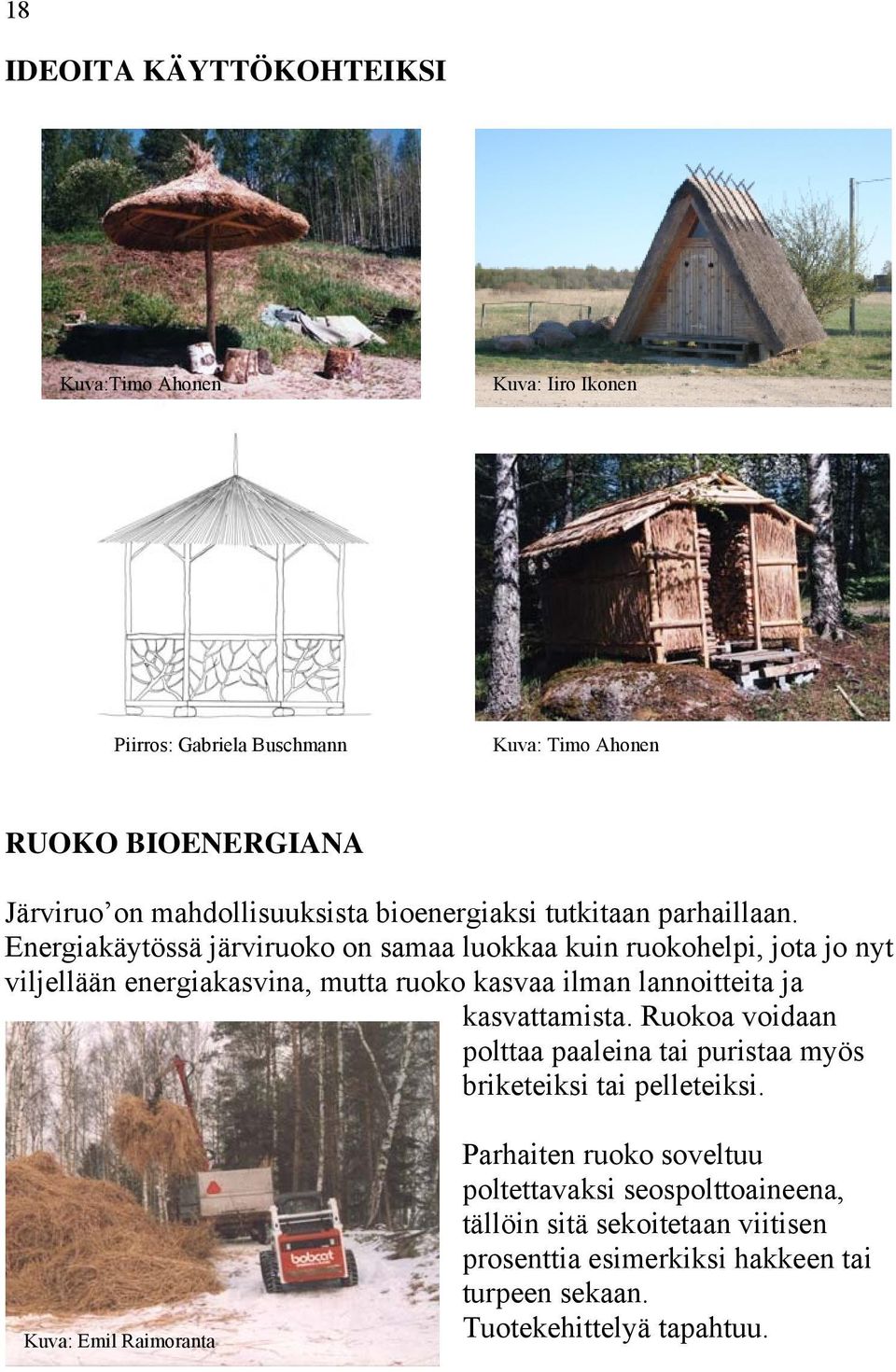 Energiakäytössä järviruoko on samaa luokkaa kuin ruokohelpi, jota jo nyt viljellään energiakasvina, mutta ruoko kasvaa ilman lannoitteita ja kasvattamista.
