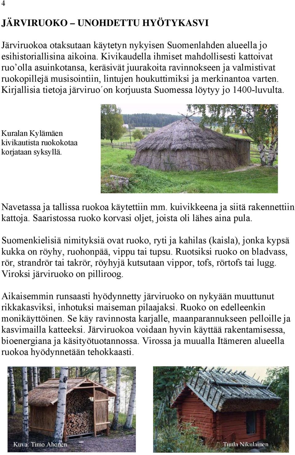 Kirjallisia tietoja järviruo on korjuusta Suomessa löytyy jo 1400-luvulta. Kuralan Kylämäen kivikautista ruokokotaa korjataan syksyllä. Navetassa ja tallissa ruokoa käytettiin mm.
