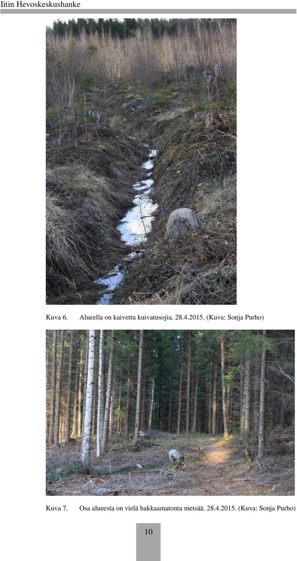 2015. (Kuva: Sonja Purho) Kuva 7.