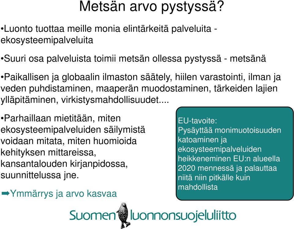 säätely, hiilen varastointi, ilman ja veden puhdistaminen, maaperän muodostaminen, tärkeiden lajien ylläpitäminen, virkistysmahdollisuudet.