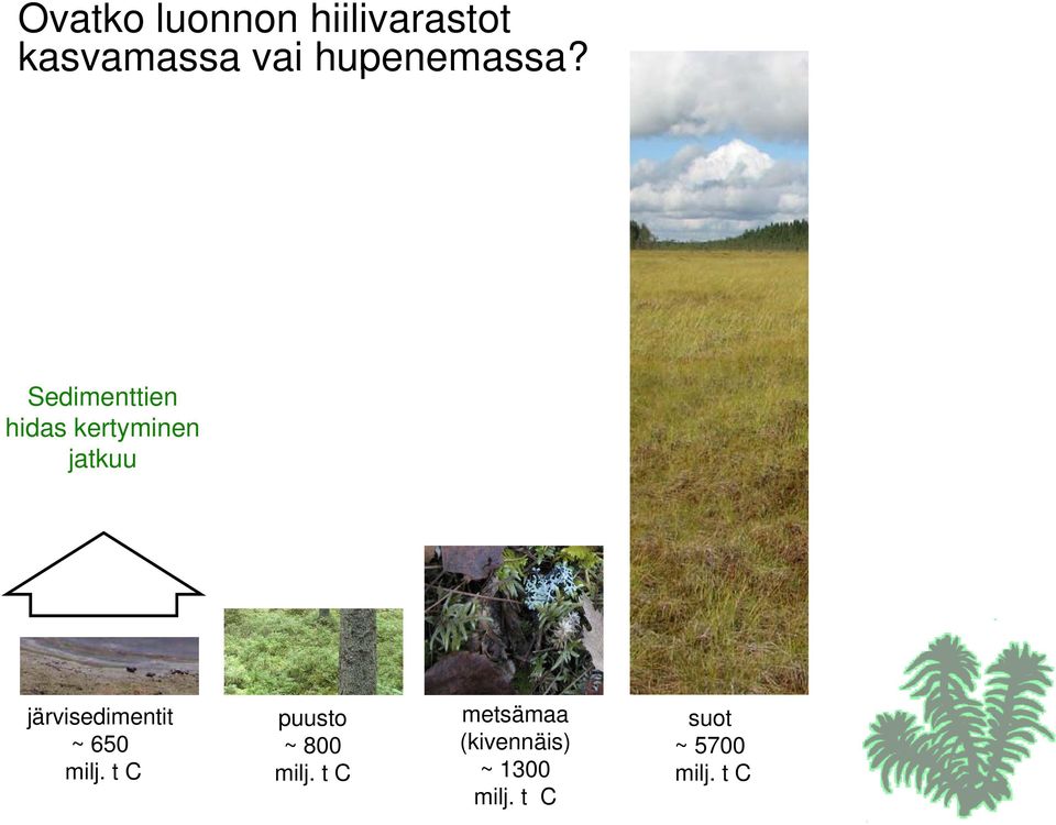 Sedimenttien hidas kertyminen jatkuu