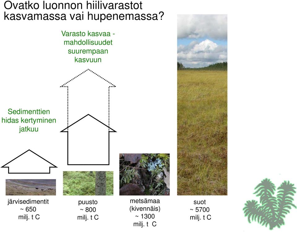 Varasto kasvaa - mahdollisuudet suurempaan kasvuun