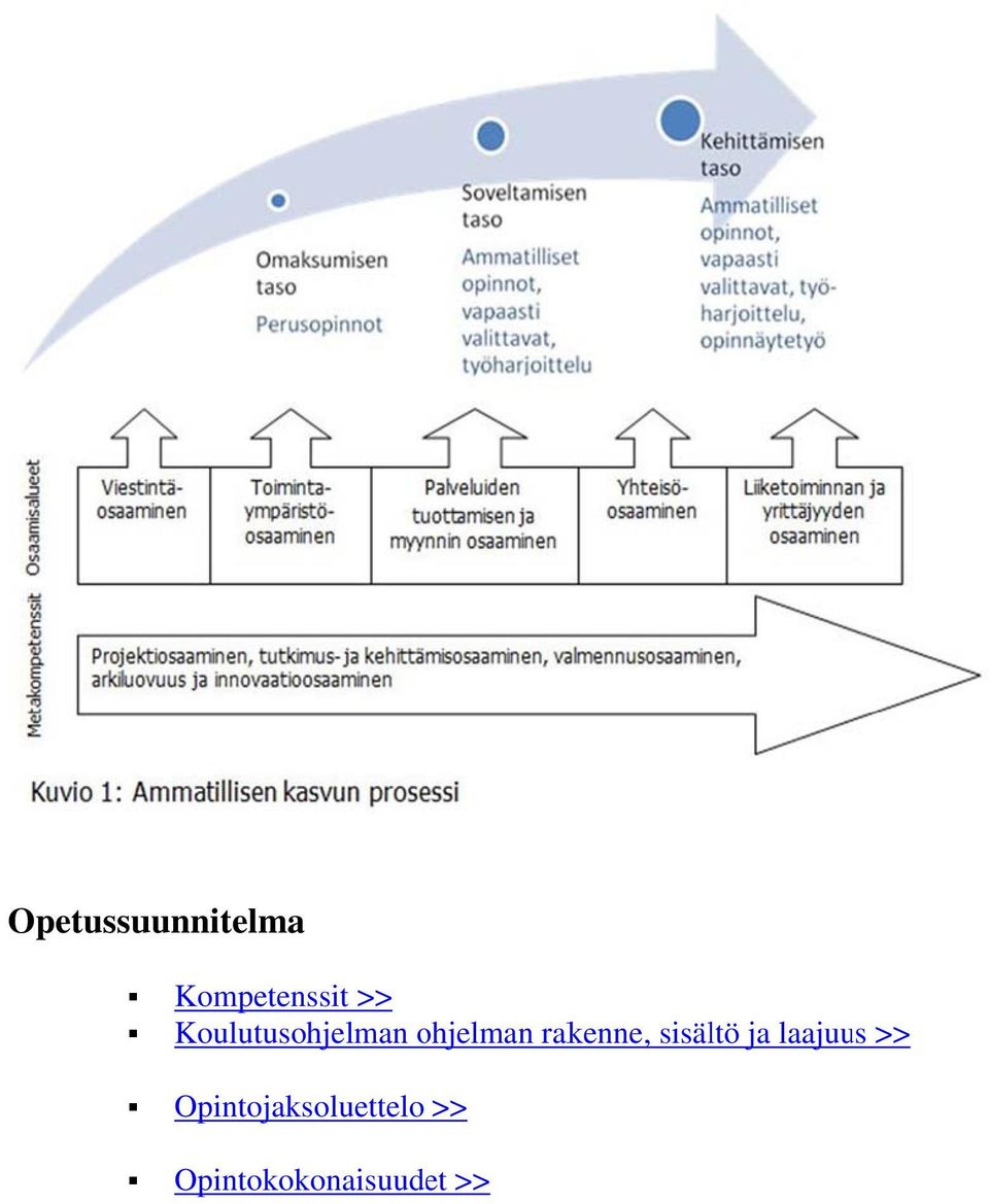 rakenne, sisältö ja laajuus >>