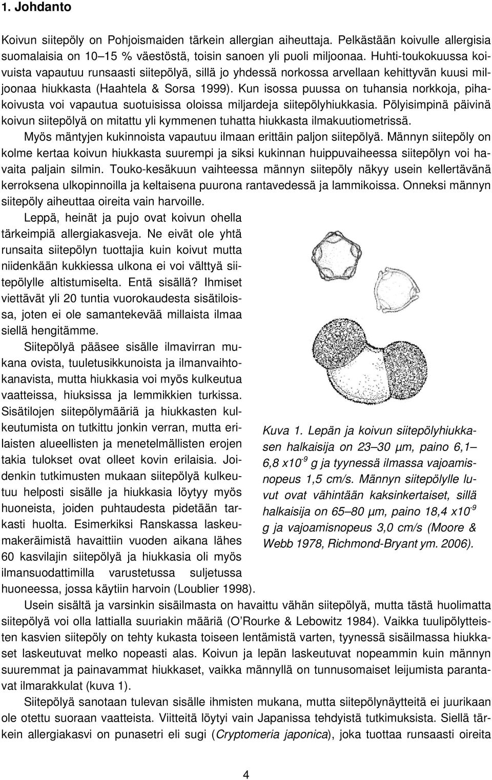 Kun isossa puussa on tuhansia norkkoja, pihakoivusta voi vapautua suotuisissa oloissa miljardeja siitepölyhiukkasia.