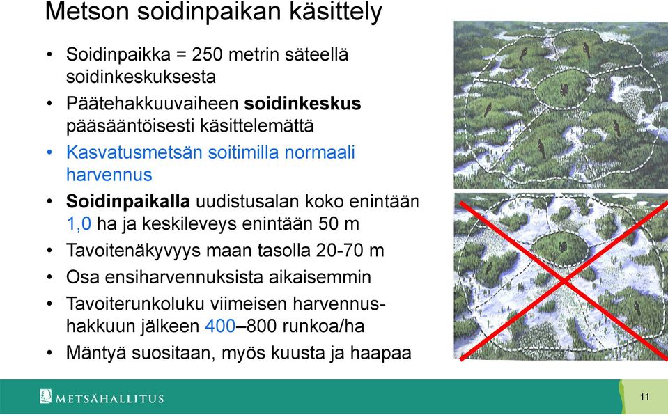 uudistusalan koko enintään 1,0 ha ja keskileveys enintään 50 m Tavoitenäkyvyys maan tasolla 20-70 m Osa