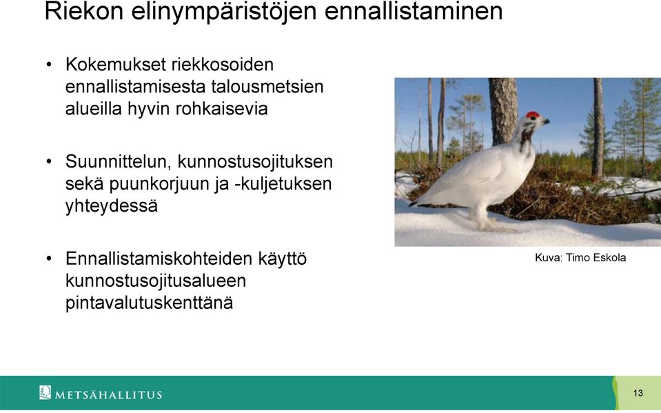 kunnostusojituksen sekä puunkorjuun ja -kuljetuksen yhteydessä