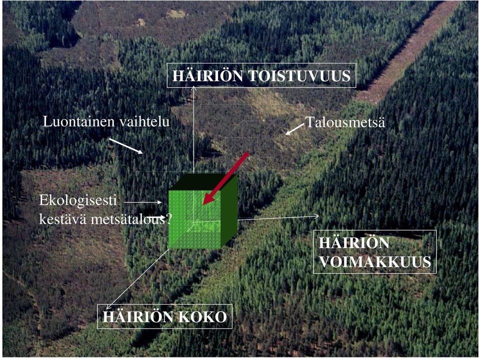 Talousmetsä Ekologisesti