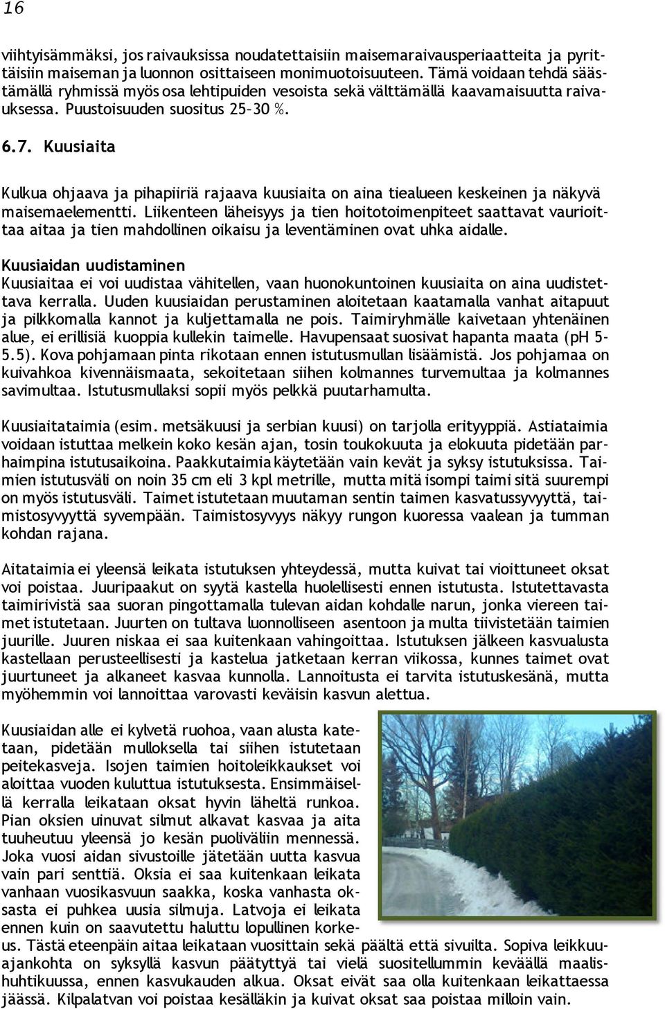 Kuusiaita Kulkua ohjaava ja pihapiiriä rajaava kuusiaita on aina tiealueen keskeinen ja näkyvä maisemaelementti.