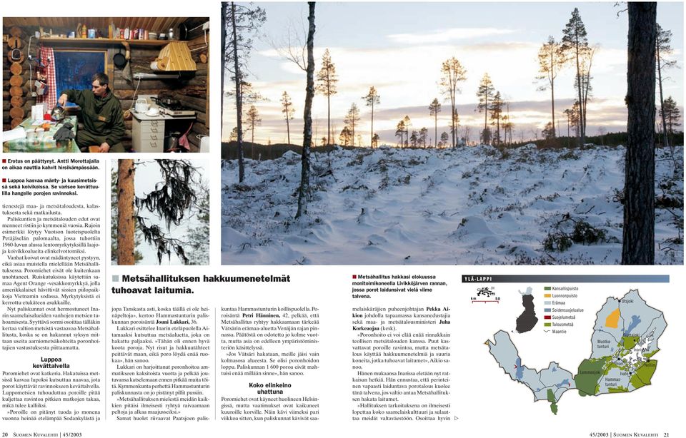 Rujoin esimerkki löytyy Vuotson luoteispuolelta Petäjäselän palomaalta, jossa tuhottiin 1960-luvun alussa lentomyrkytyksillä laajoja koivikkoalueita elinkelvottomiksi.