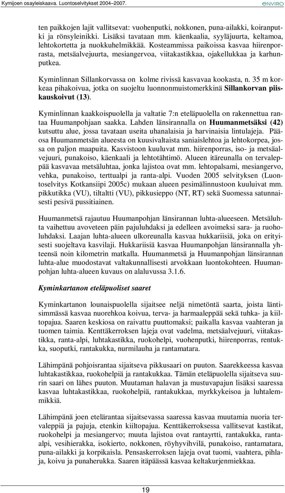 35 m korkeaa pihakoivua, jotka on suojeltu luonnonmuistomerkkinä Sillankorvan piiskauskoivut (13).