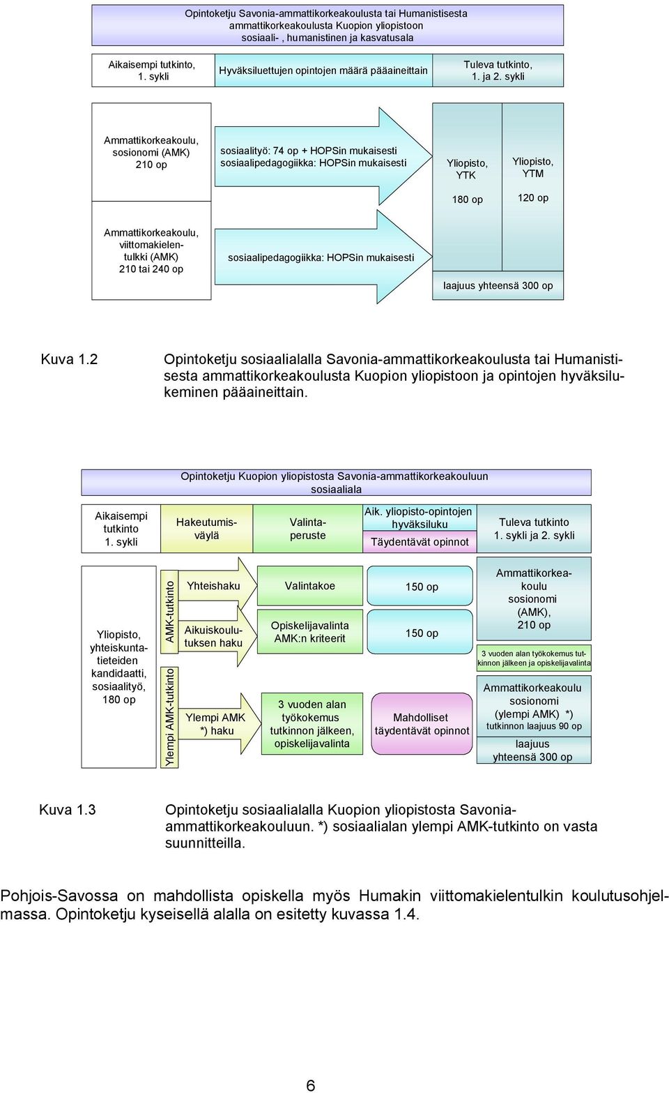 sykli Ammattikorkeakoulu, sosionomi (AMK) 210 op sosiaalityö: 74 op + HOPSin mukaisesti sosiaalipedagogiikka: HOPSin mukaisesti YTK YTM 180 op 120 op Ammattikorkeakoulu, viittomakielentulkki (AMK)