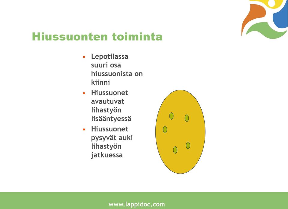 avautuvat lihastyön lisääntyessä