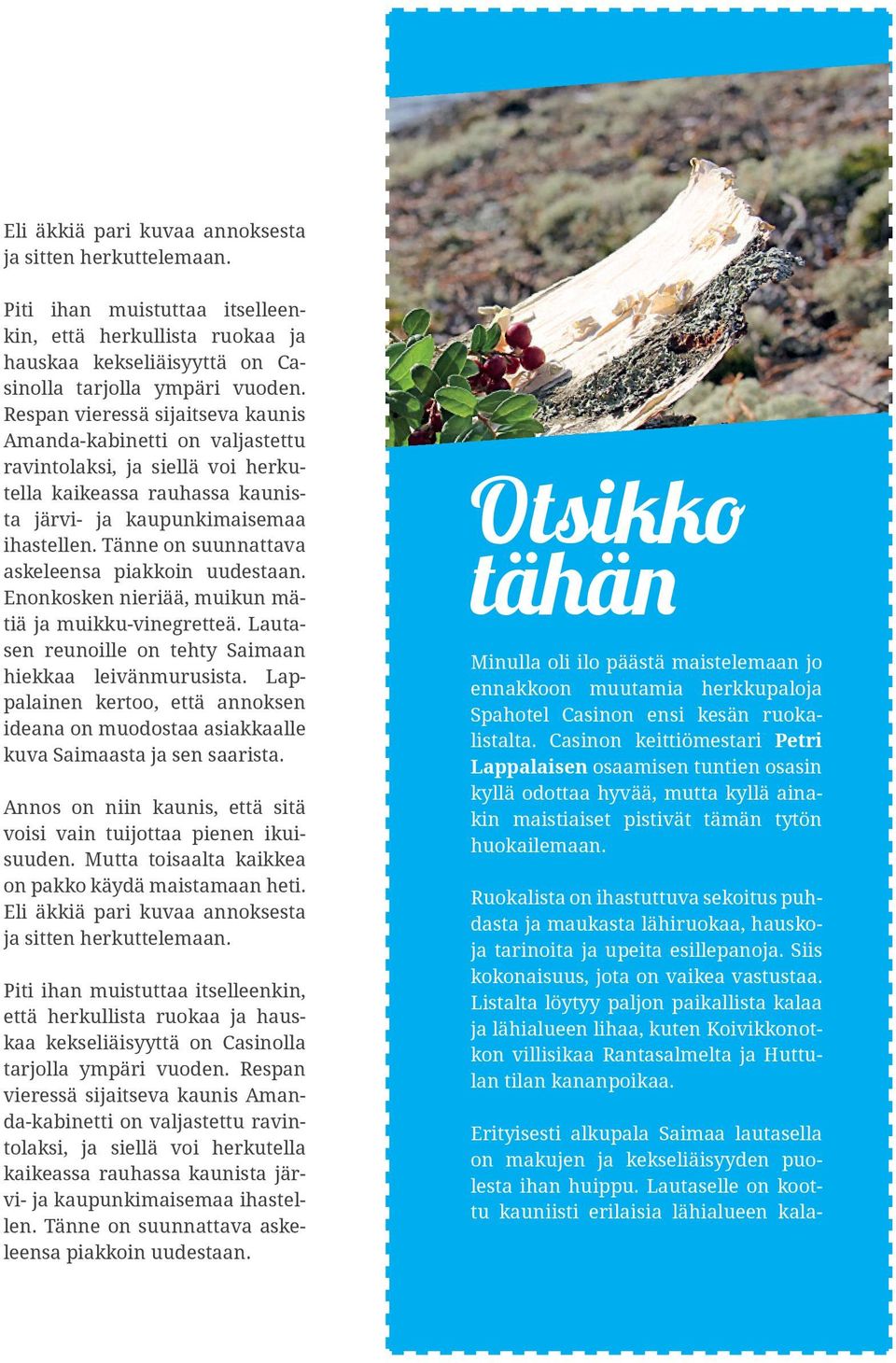 Tänne on suunnattava askeleensa piakkoin uudestaan. Enonkosken nieriää, muikun mätiä ja muikku-vinegretteä. Lautasen reunoille on tehty Saimaan hiekkaa leivänmurusista.