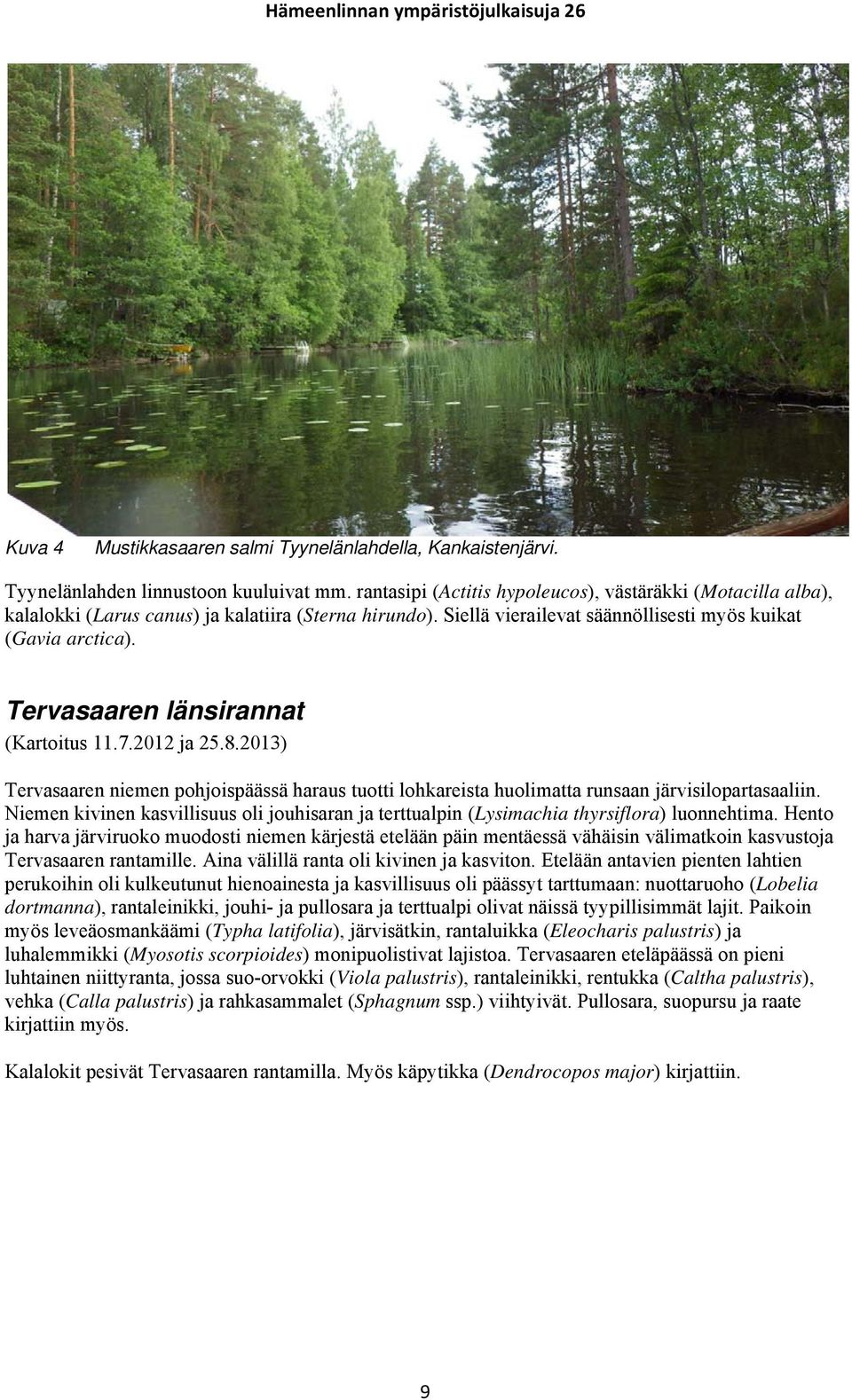 Tervasaaren länsirannat (Kartoitus 11.7.2012 ja 25.8.2013) Tervasaaren niemen pohjoispäässä haraus tuotti lohkareista huolimatta runsaan järvisilopartasaaliin.