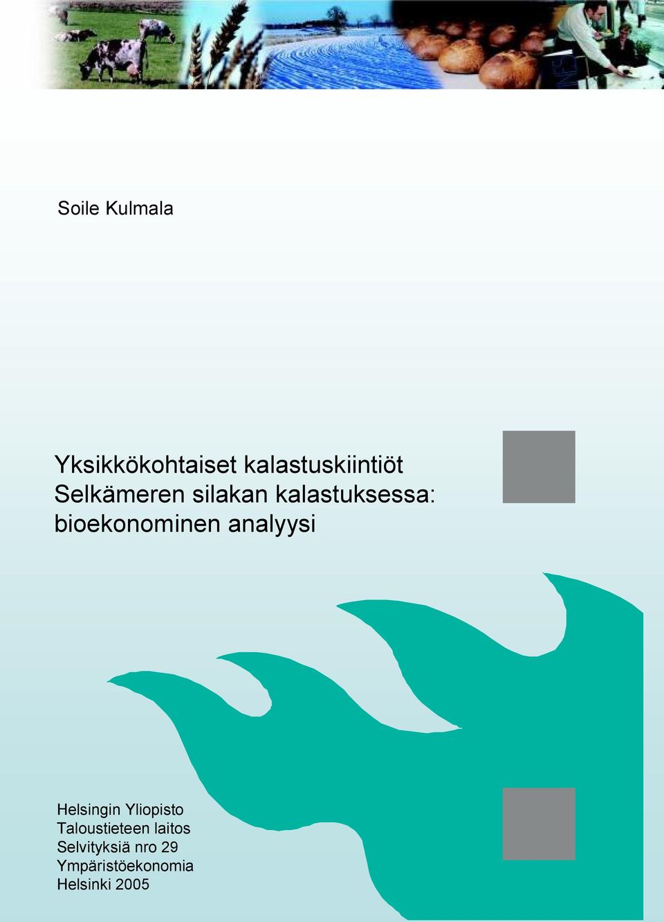 boekonomnen analyys Helsngn Ylopsto
