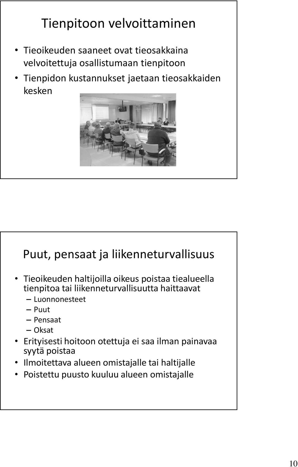 tiealueella tienpitoa tai liikenneturvallisuutta haittaavat Luonnonesteet Puut Pensaat Oksat Erityisesti hoitoon