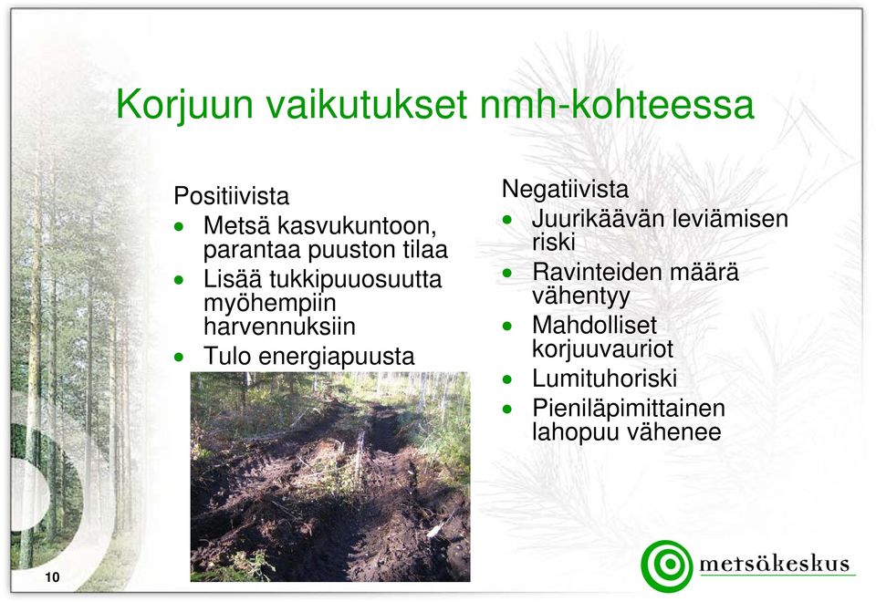 energiapuusta Negatiivista Juurikäävän leviämisen riski Ravinteiden määrä