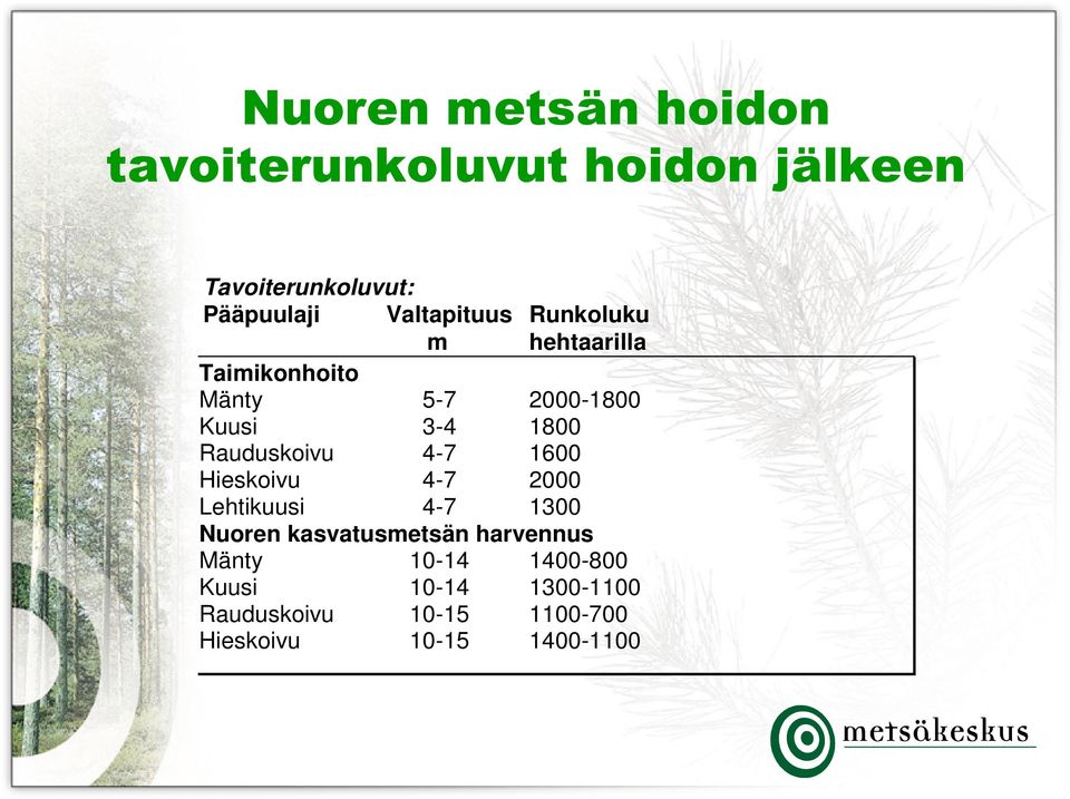 Rauduskoivu 4-7 1600 Hieskoivu 4-7 2000 Lehtikuusi 4-7 1300 Nuoren kasvatusmetsän