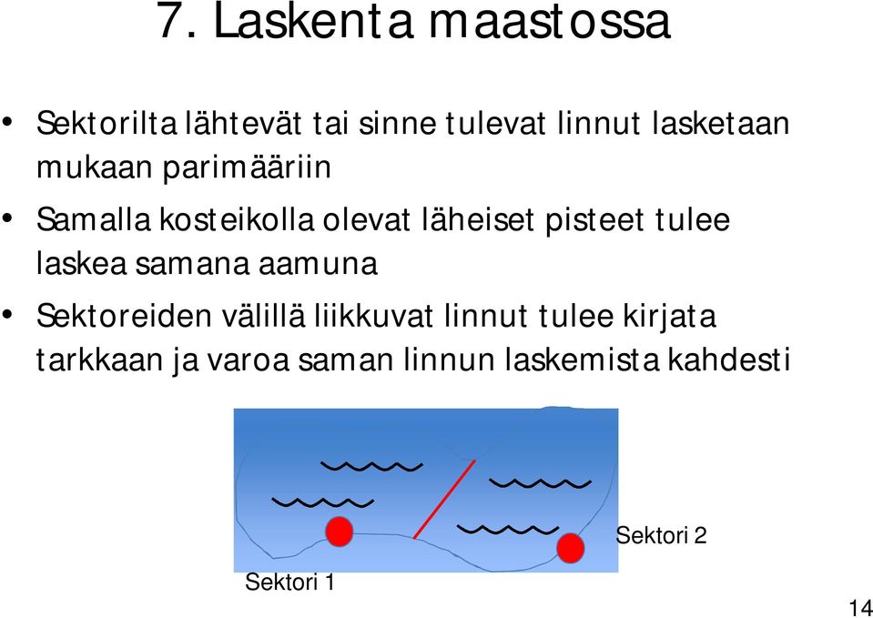 tulee laskea samana aamuna Sektoreiden välillä liikkuvat linnut tulee