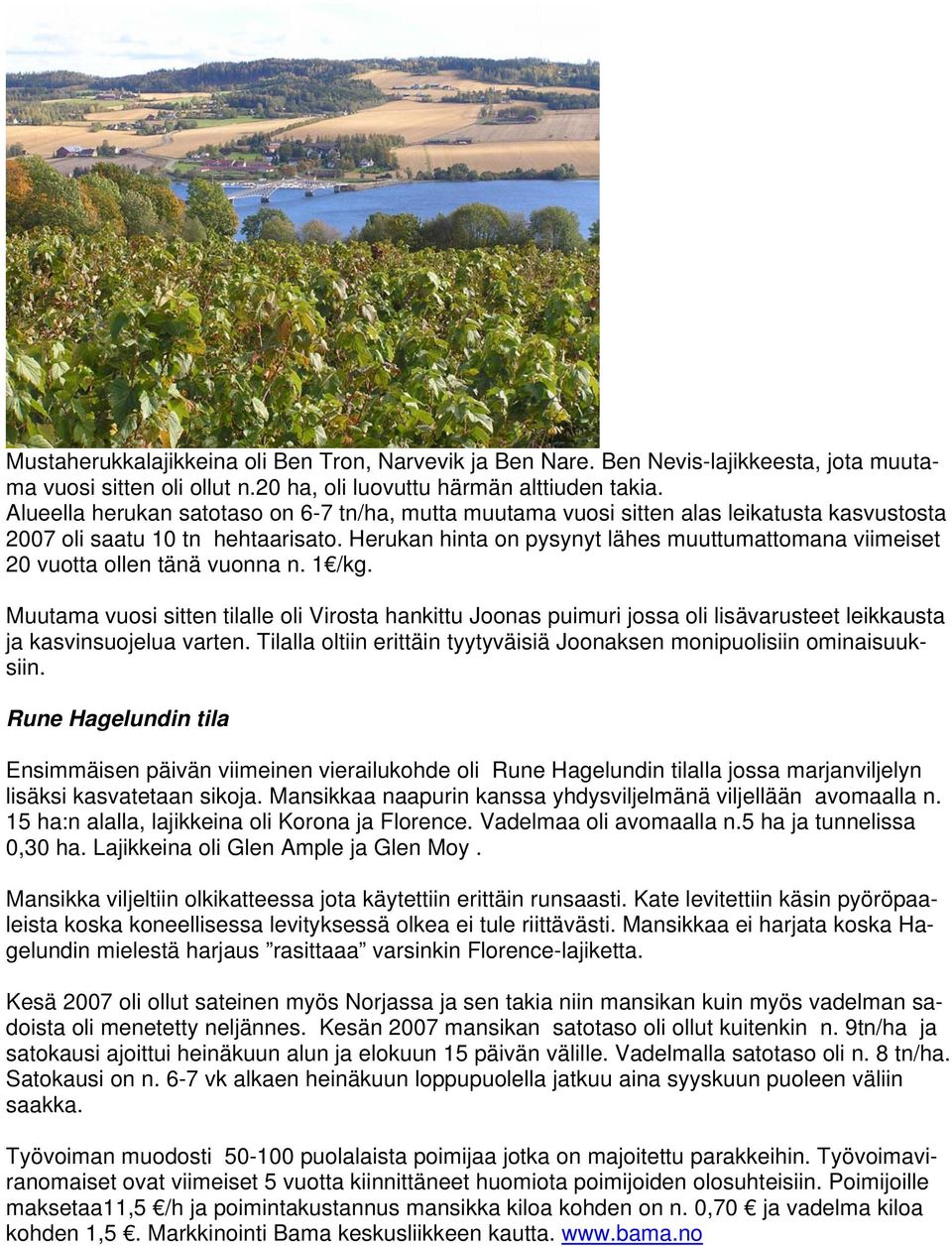 Herukan hinta on pysynyt lähes muuttumattomana viimeiset 20 vuotta ollen tänä vuonna n. 1 /kg.