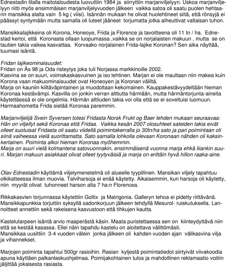 Isännän mukaan he olivat huolehtineet siitä, että rönsyjä ei päässyt syntymään mutta samalla oli luteet jääneet torjumatta jotka aiheuttivat valtaisan tuhon.
