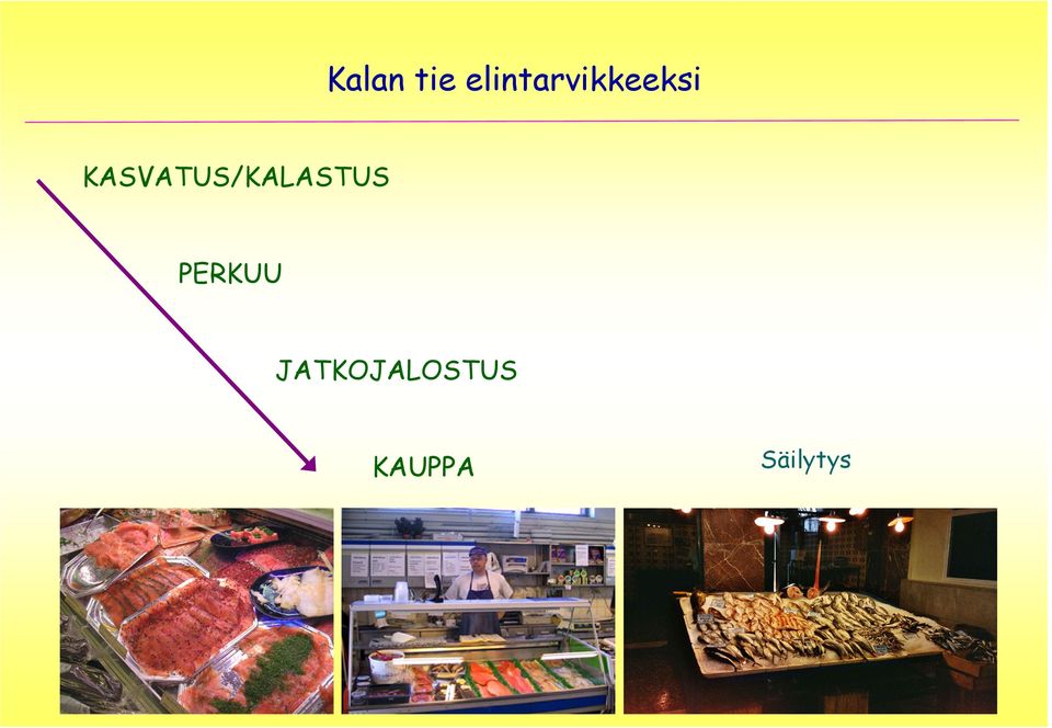 KASVATUS/KALASTUS