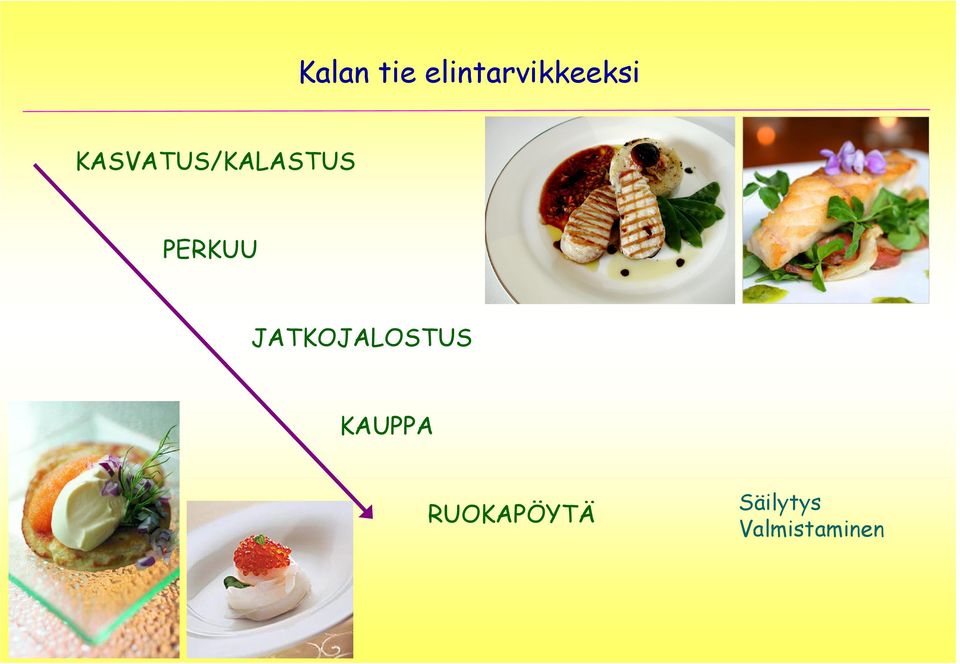 JATKOJALOSTUS KAUPPA