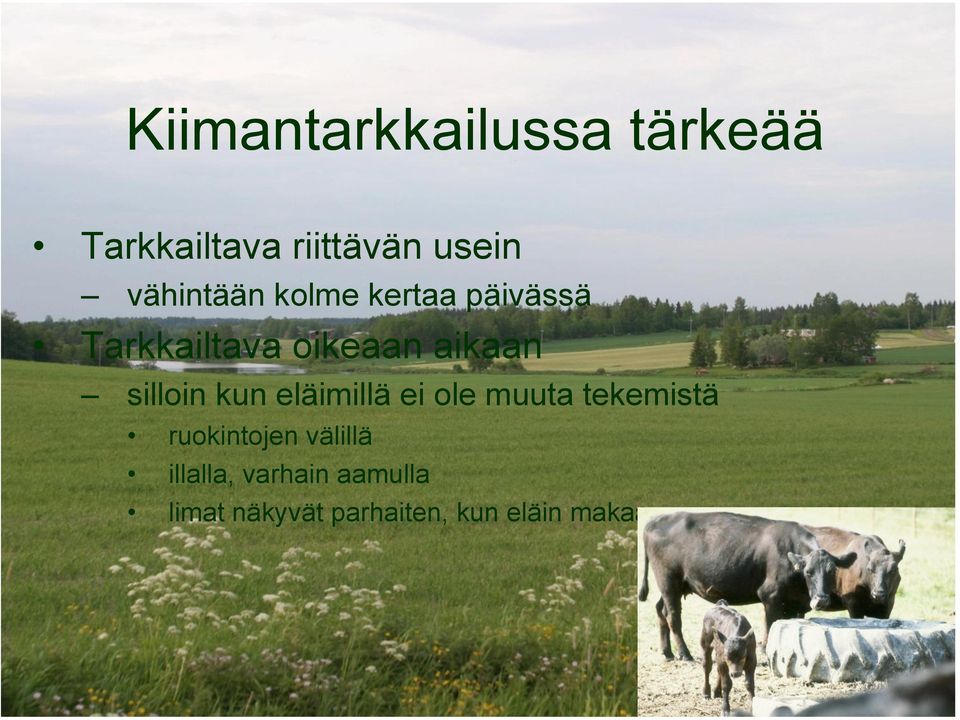 silloin kun eläimillä ei ole muuta tekemistä ruokintojen